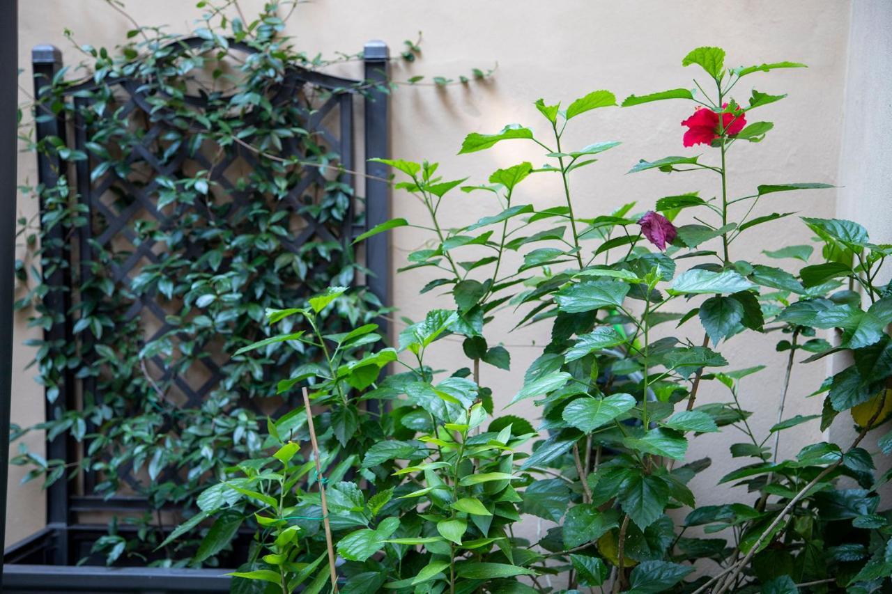 B&B I Propilei Di San Girolamo ริมินี ภายนอก รูปภาพ